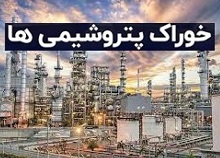 اعمال نرخ خوراک واصله در عملکرد ۶ ماهه پتروشیمی
شیراز