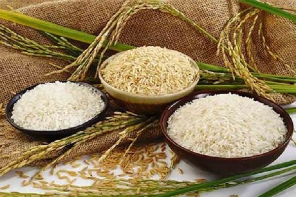 بازار انحصاری، برنج ایرانی را گران کرد