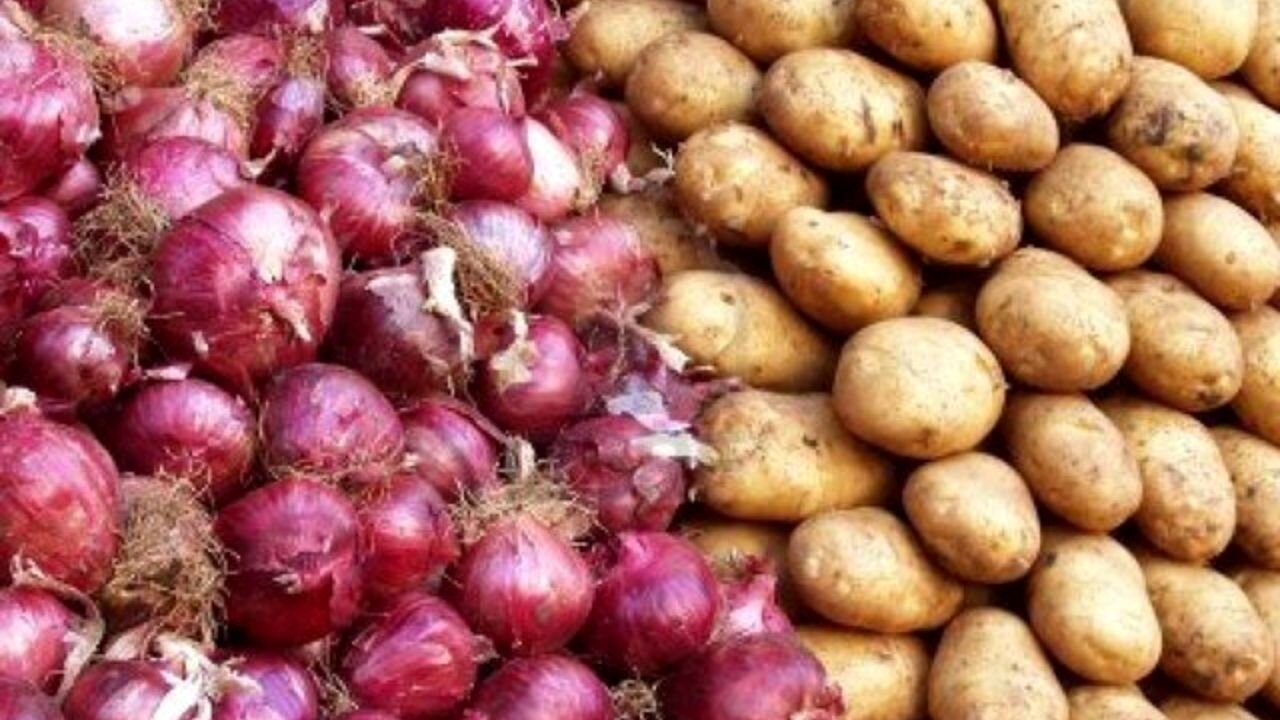 خرید توافقی، قیمت سیب‌زمینی و پیاز را در مزارع تثبیت
کرد
