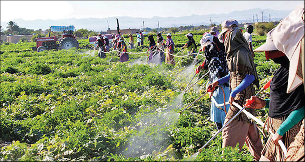 فرآیند اجرایی استانداردهای اجباری ۳۰ آفت‌کش‌ بررسی
شد