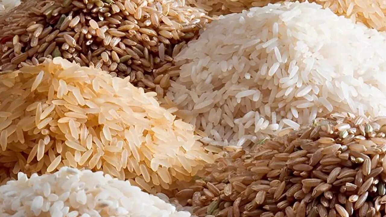 ناترازی در بازار برنج؛ از انحصار نوع ایرانی تا گم شدن نوع
خارجی