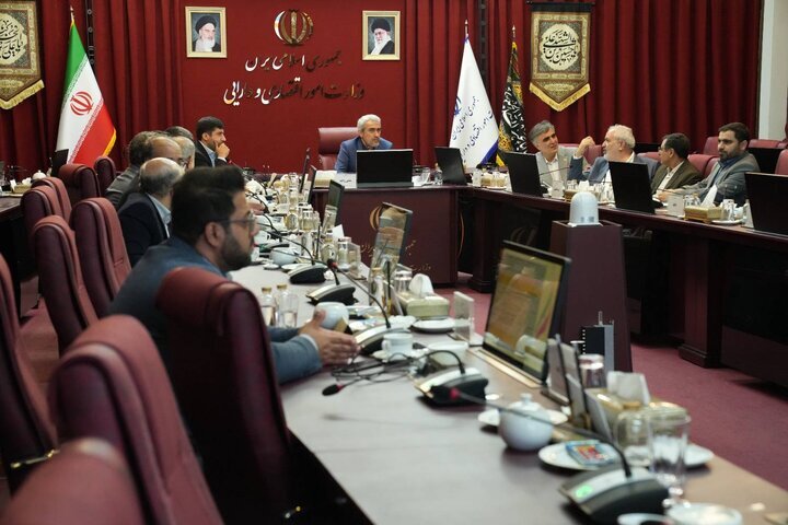 هفدهمین جلسه شورای ملی تأمین مالی در وزارت اقتصاد برگزار
شد