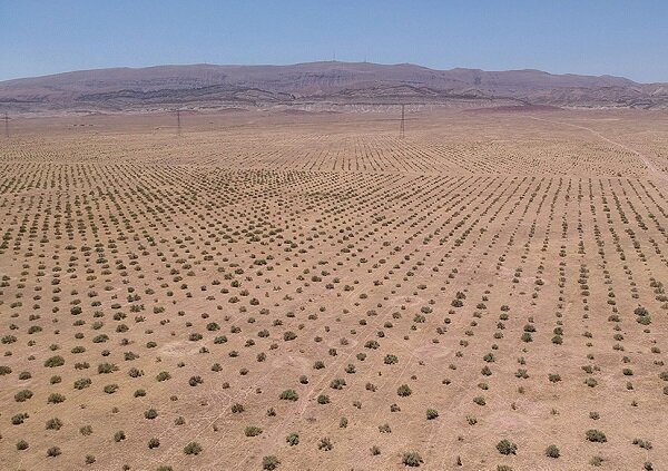 همکاری ایران و سازمان ملل در راستای تمرکز بر
بیابان‌زدایی