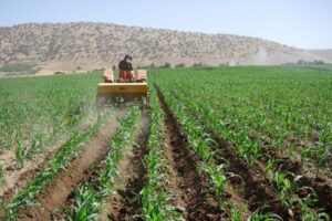 وضعیت بهره‌مندی برخی استان‌ها از ماشین‌آلات کشاورزی نامطلوب
است