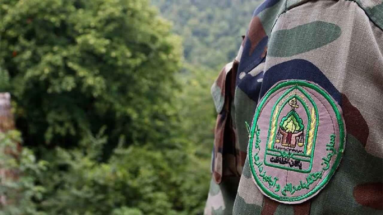 پیام رئیس سازمان منابع طبیعی به مناسبت روز ملی
جنگلبان