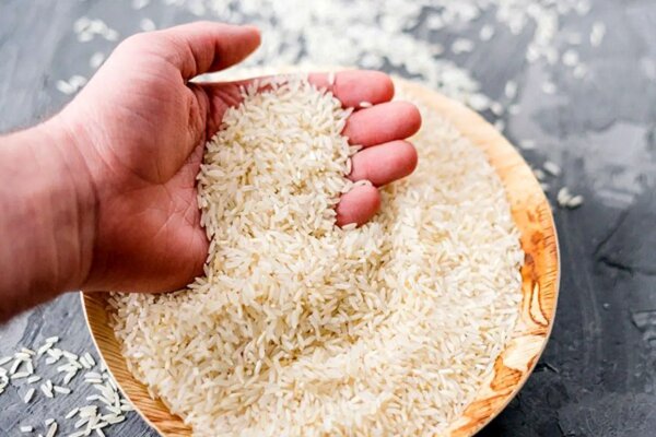 گرانی برنج زیر ذره‌بین نهادهای قضایی؛ برخورد با تخلفات بازار
کالا
