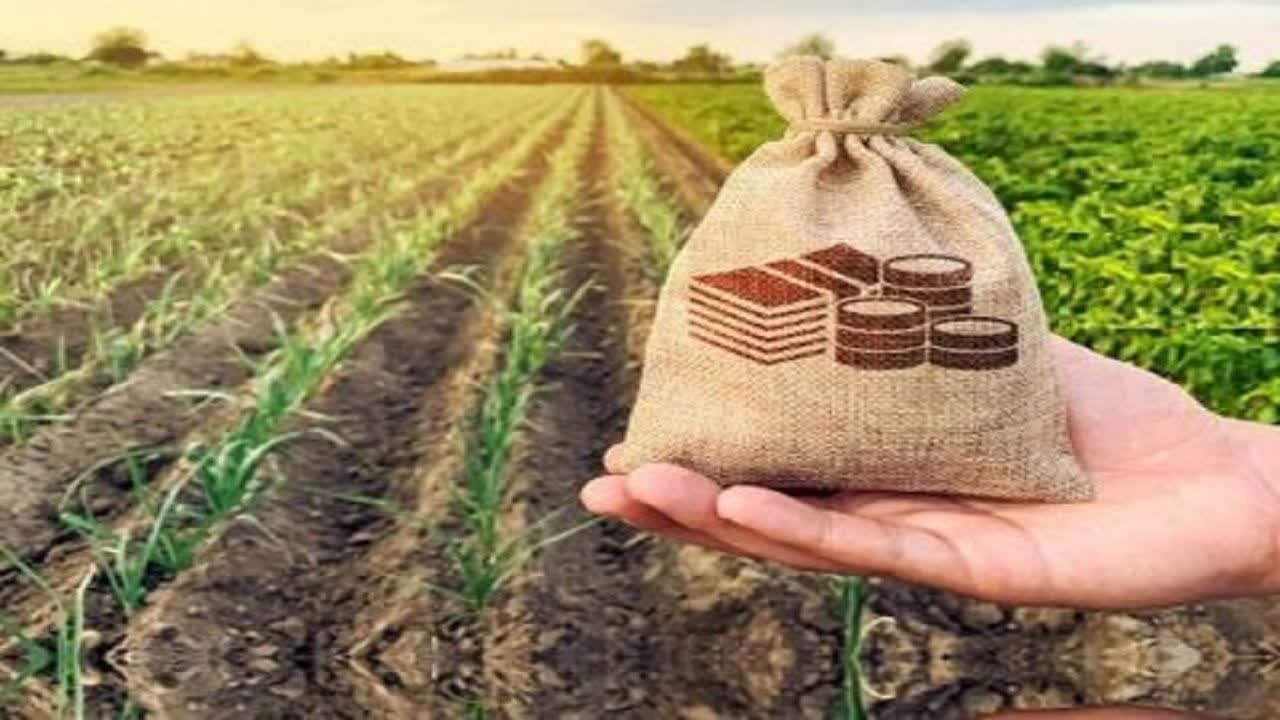۱۷۲ صندوق توسعه کشاورزی در کشور فعال است