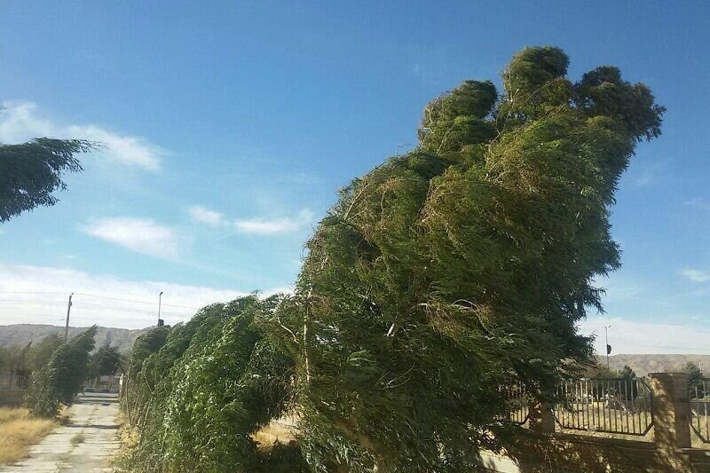 امروز و فردا نیمه غربی کشور همراه با باد شدید و خیزش گرد و
خاک است