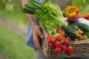 جهان برای تامین امنیت غذایی چاره‌ای جز پذیرش تراریخته‌ها
ندارد