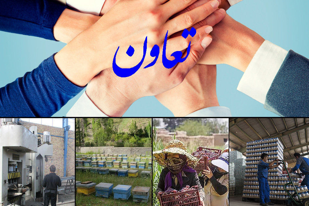 دولت‌ها در ایران اعتقادی به اقتصاد تعاون‌محور ندارند