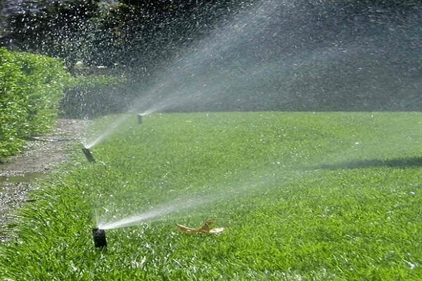 عمده چاه‌های تهران از چرخه آبیاری فضای سبز خارج
می‌شود