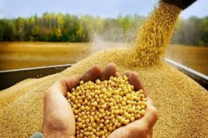مسئله استفاده از فناوری در قطع وابستگی است؛ برای ما شرکت
وفرد مهم نیست