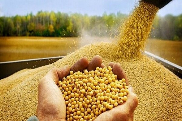 مسئله استفاده از فناوری در قطع وابستگی است؛ برای ما شرکت
وفرد مهم نیست