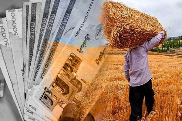 پرداخت مطالبات معوق گندم‌کاران آغاز شد