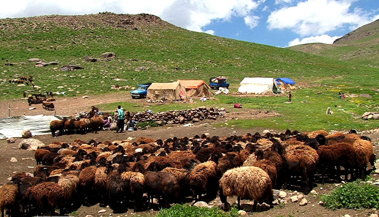 پست ویژه عشایر در هفته دولت راه‌اندازی می‌شود