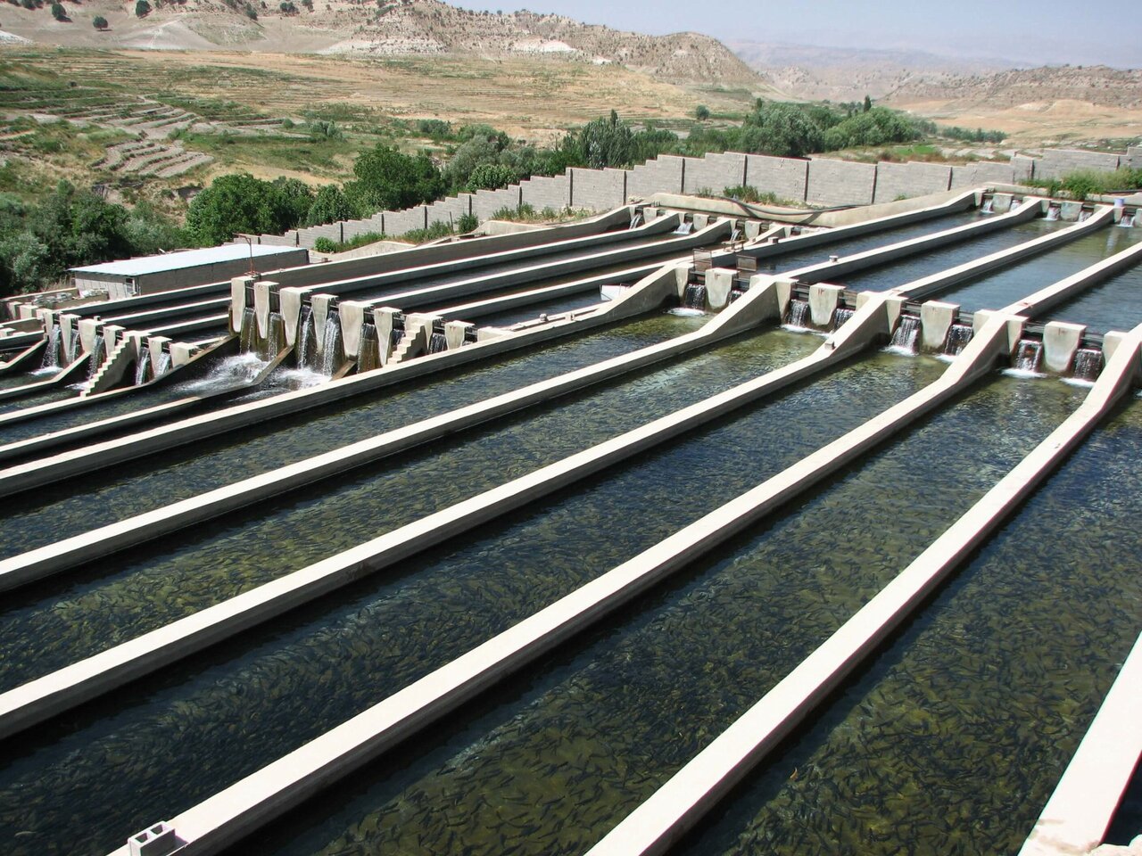 یک میلیارد متر مکعب پساب در کشور تصفیه می‌شود
