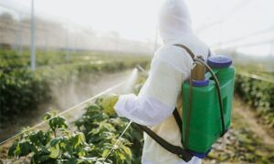 آغاز مانور سراسری نظارت بر آفت‌کش‌ها