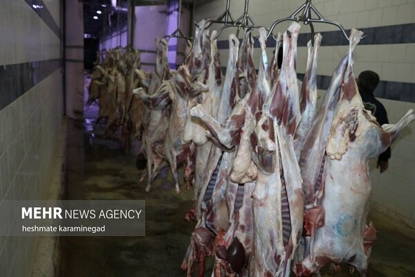 حدود ۵۰۰ هزار دلار مطالبه واردکنندگان گوشت از دولت
است
