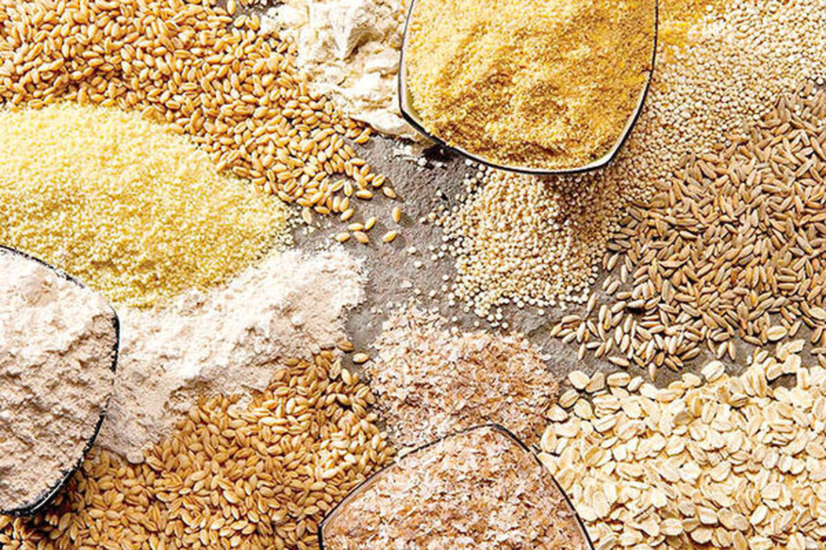 سیاست‌گذاری اشتباه در نهاده دامی قیمت گوشت را نجومی
کرد