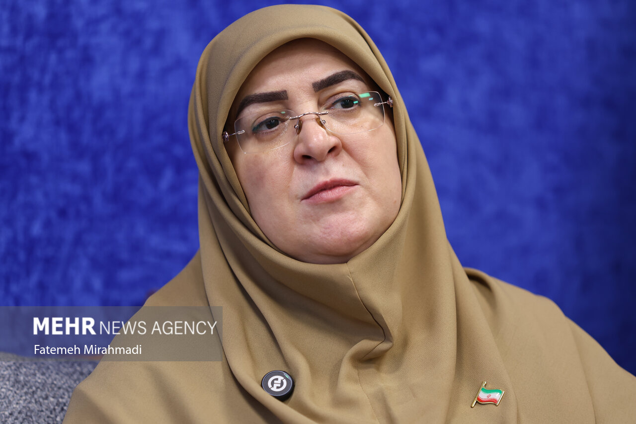 مهاجرانی: همکاری‌های اقتصادی با همسایگان در اولویت
است