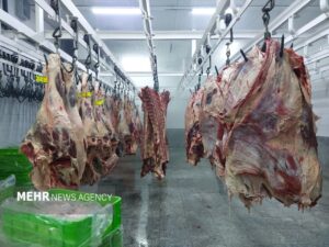 روز ملی دامپزشکی؛ از وضعیت ارتقا کیفیت تا تضمین سلامت
محصولات دامی