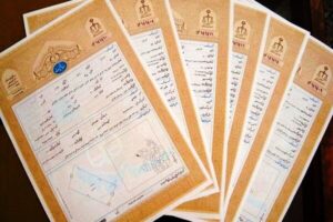 زمان خوب: اسناد مالکیت نخیلات آبادان صادر شد