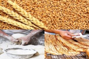 پس از ۴ماه تأخیر، قیمت ۳۲هزار تومان خرید تضمینی گندم مصوب
می‌شود؟
